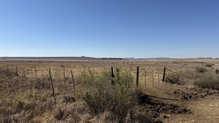 Commercial Property for Sale in Senekal Free State